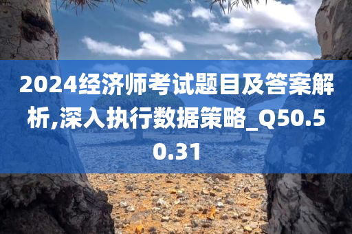 2024经济师考试题目及答案解析,深入执行数据策略_Q50.50.31