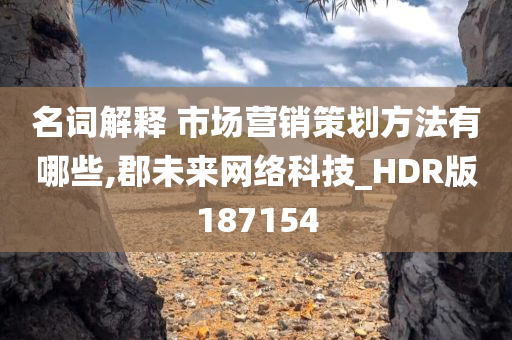 名词解释 市场营销策划方法有哪些,郡未来网络科技_HDR版187154