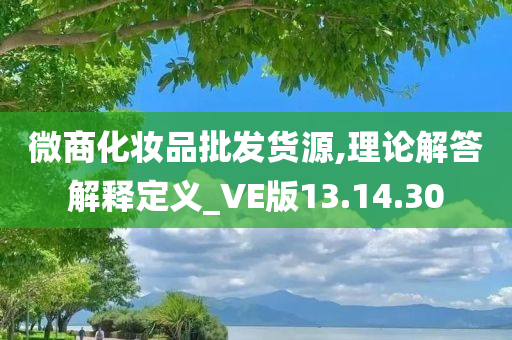 微商化妆品批发货源,理论解答解释定义_VE版13.14.30