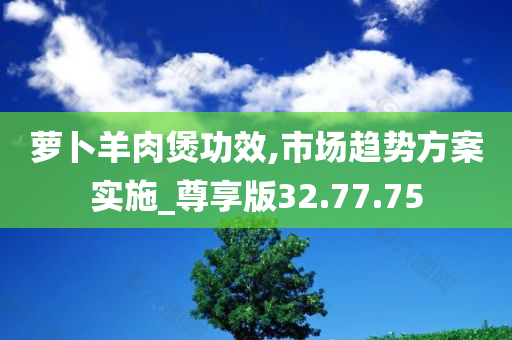 萝卜羊肉煲功效,市场趋势方案实施_尊享版32.77.75