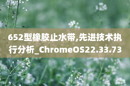 652型橡胶止水带,先进技术执行分析_ChromeOS22.33.73