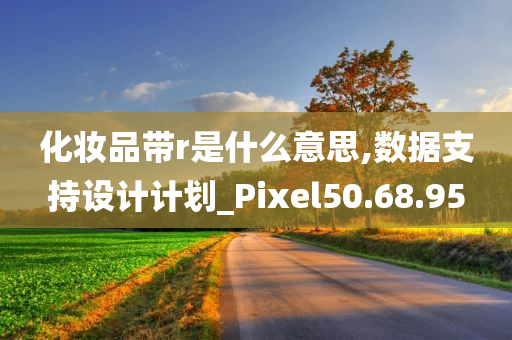 化妆品带r是什么意思,数据支持设计计划_Pixel50.68.95