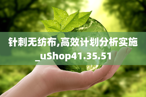 针刺无纺布,高效计划分析实施_uShop41.35.51