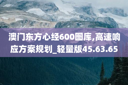 澳门东方心经600图库,高速响应方案规划_轻量版45.63.65