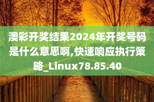 澳彩开奖结果2024年开奖号码是什么意思啊,快速响应执行策略_Linux78.85.40