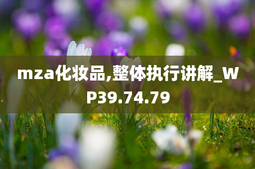 mza化妆品,整体执行讲解_WP39.74.79