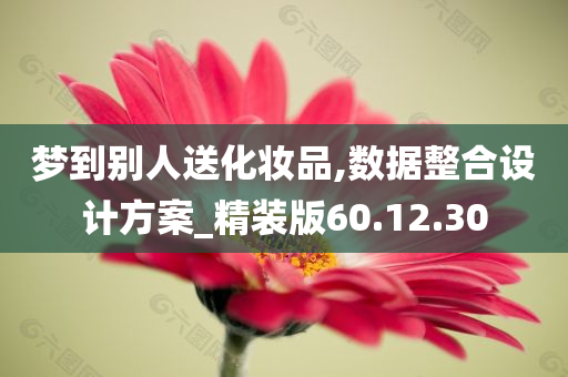 梦到别人送化妆品,数据整合设计方案_精装版60.12.30