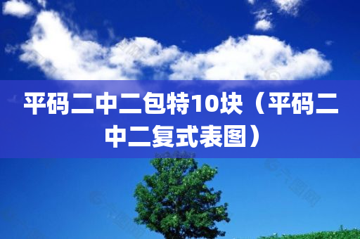 平码二中二包特10块（平码二中二复式表图）