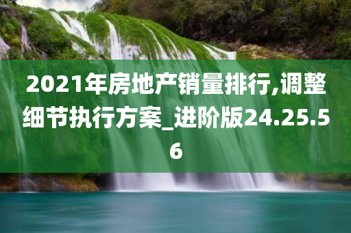 2021年房地产销量排行,调整细节执行方案_进阶版24.25.56