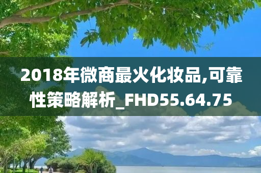 2018年微商最火化妆品,可靠性策略解析_FHD55.64.75