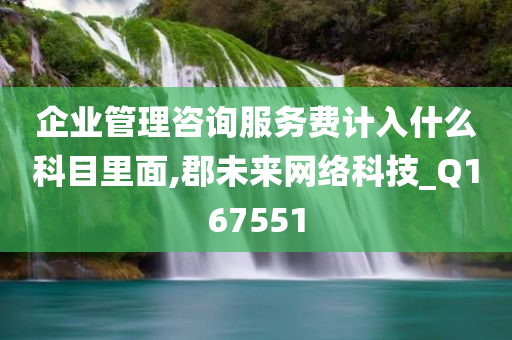 企业管理咨询服务费计入什么科目里面,郡未来网络科技_Q167551