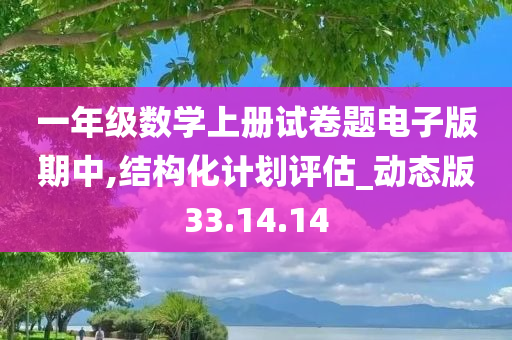 一年级数学上册试卷题电子版期中,结构化计划评估_动态版33.14.14