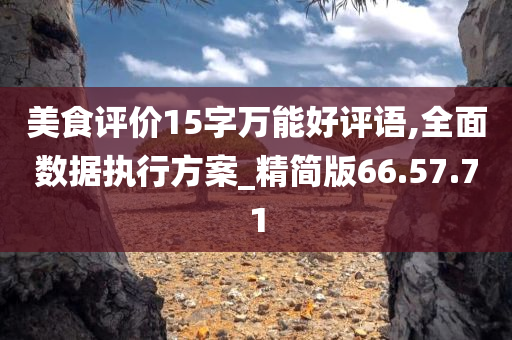 美食评价15字万能好评语,全面数据执行方案_精简版66.57.71