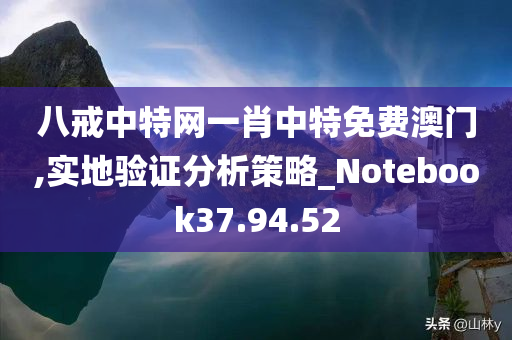 八戒中特网一肖中特免费澳门,实地验证分析策略_Notebook37.94.52