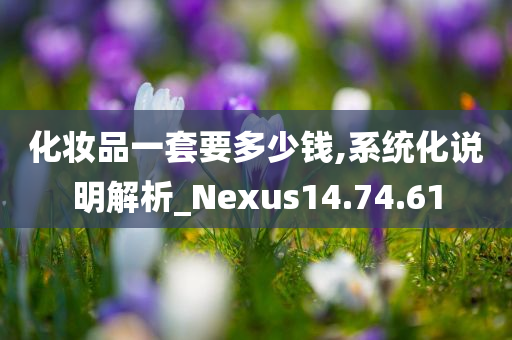 化妆品一套要多少钱,系统化说明解析_Nexus14.74.61