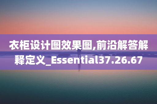 衣柜设计图效果图,前沿解答解释定义_Essential37.26.67