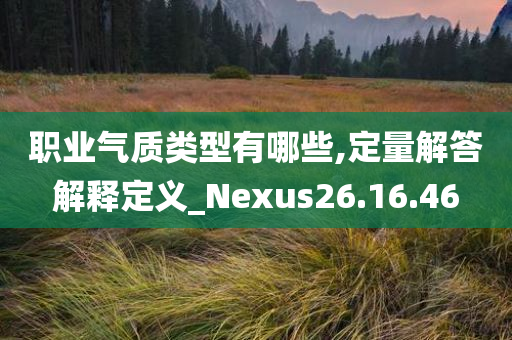 职业气质类型有哪些,定量解答解释定义_Nexus26.16.46