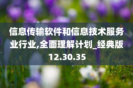 信息传输软件和信息技术服务业行业,全面理解计划_经典版12.30.35