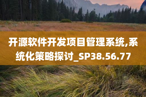 开源软件开发项目管理系统,系统化策略探讨_SP38.56.77