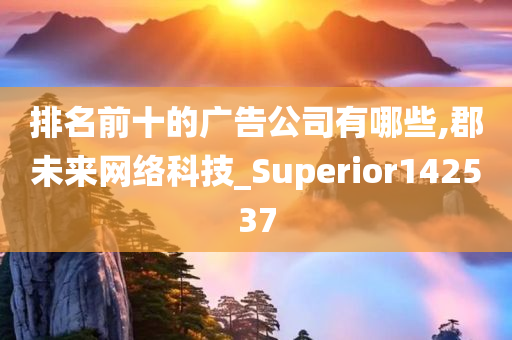 排名前十的广告公司有哪些,郡未来网络科技_Superior142537