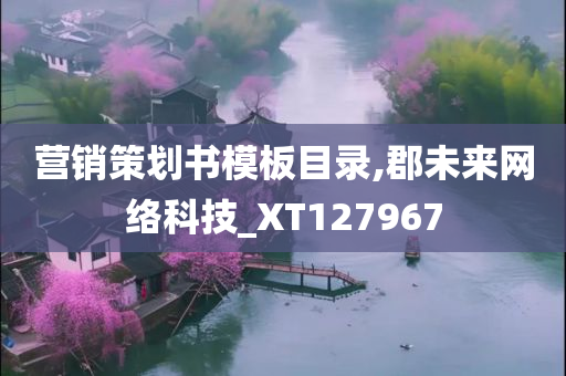 营销策划书模板目录,郡未来网络科技_XT127967