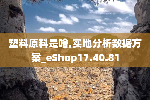 塑料原料是啥,实地分析数据方案_eShop17.40.81