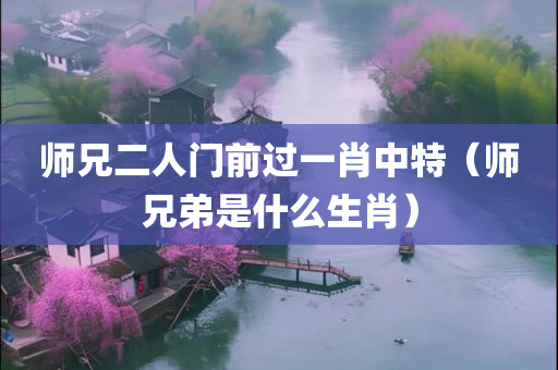 师兄二人门前过一肖中特（师兄弟是什么生肖）