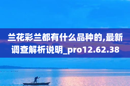 兰花彩兰都有什么品种的,最新调查解析说明_pro12.62.38