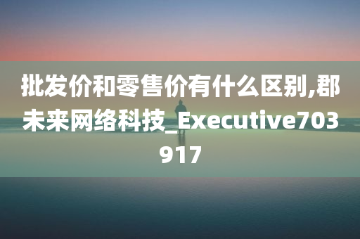 批发价和零售价有什么区别,郡未来网络科技_Executive703917