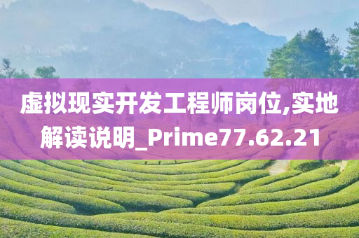 虚拟现实开发工程师岗位,实地解读说明_Prime77.62.21