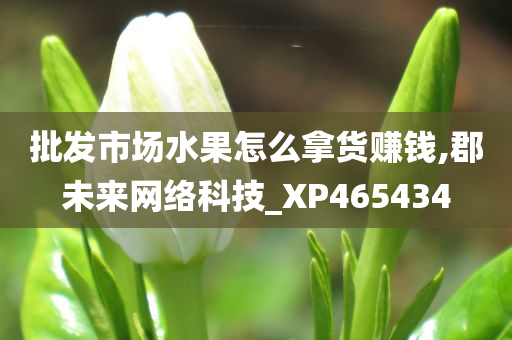 批发市场水果怎么拿货赚钱,郡未来网络科技_XP465434