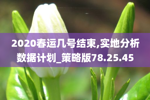 2020春运几号结束,实地分析数据计划_策略版78.25.45