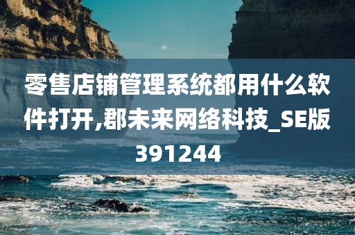 零售店铺管理系统都用什么软件打开,郡未来网络科技_SE版391244