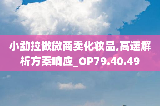 小勐拉做微商卖化妆品,高速解析方案响应_OP79.40.49