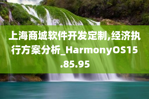 上海商城软件开发定制,经济执行方案分析_HarmonyOS15.85.95