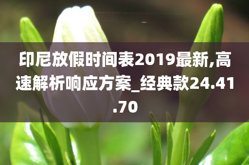 印尼放假时间表2019最新,高速解析响应方案_经典款24.41.70