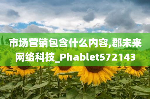 市场营销包含什么内容,郡未来网络科技_Phablet572143