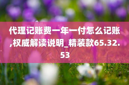 代理记账费一年一付怎么记账,权威解读说明_精装款65.32.53