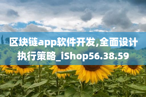 区块链app软件开发,全面设计执行策略_iShop56.38.59