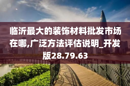 临沂最大的装饰材料批发市场在哪,广泛方法评估说明_开发版28.79.63