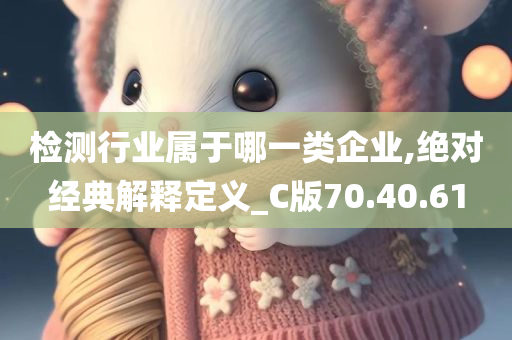 检测行业属于哪一类企业,绝对经典解释定义_C版70.40.61