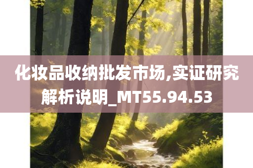 化妆品收纳批发市场,实证研究解析说明_MT55.94.53