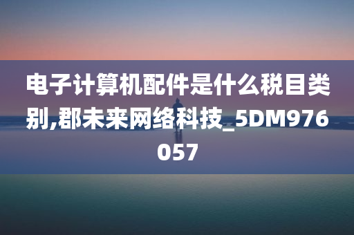 电子计算机配件是什么税目类别,郡未来网络科技_5DM976057