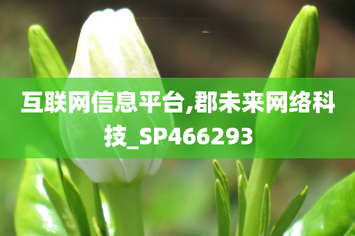 互联网信息平台,郡未来网络科技_SP466293