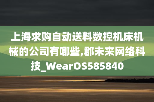 上海求购自动送料数控机床机械的公司有哪些,郡未来网络科技_WearOS585840