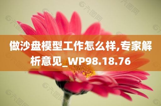 做沙盘模型工作怎么样,专家解析意见_WP98.18.76