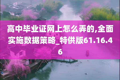 高中毕业证网上怎么弄的,全面实施数据策略_特供版61.16.46