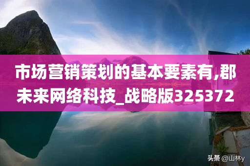 市场营销策划的基本要素有,郡未来网络科技_战略版325372