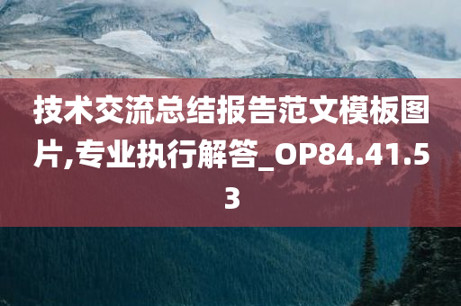 技术交流总结报告范文模板图片,专业执行解答_OP84.41.53