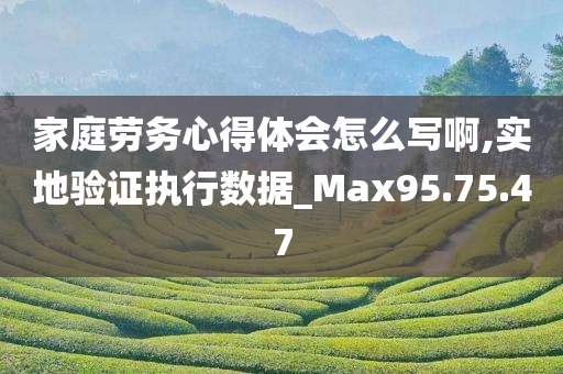 家庭劳务心得体会怎么写啊,实地验证执行数据_Max95.75.47